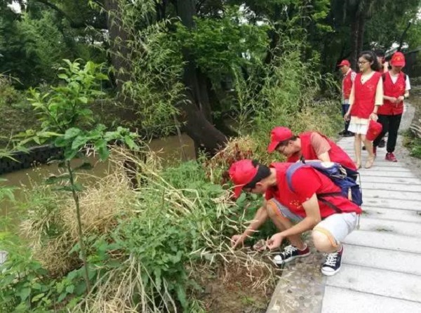 IMG_0087.JPG IMG_0087.JPG
