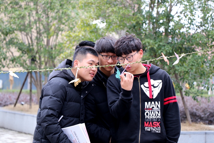 IMG_5817_副本700.jpg IMG_5817_副本700.jpg